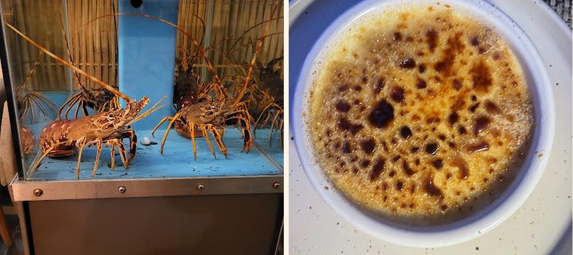 L Ecaille - Gallery Image 2